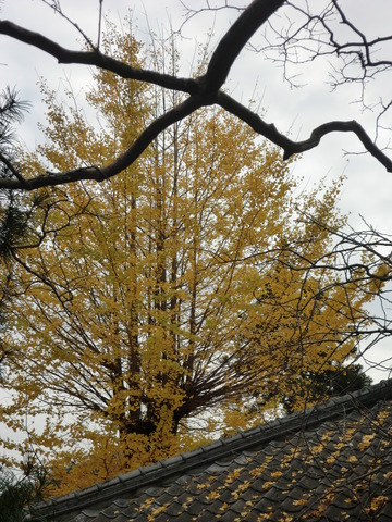 大窪寺・・・・・