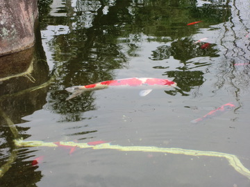 大窪寺・・・・