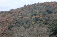 　　　　田舎の風景・・・・