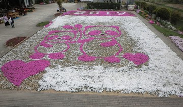 　　　　芝桜を見に・・・・