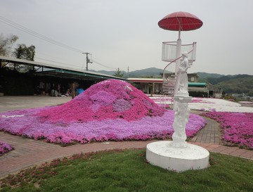 　　　　芝桜を見に・・・・