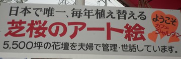 　　　　芝桜を見に・・・・