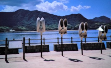 ある日の日帰り旅行・・・・