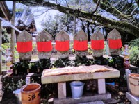 　　　お彼岸・・・・