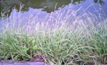 　　　秋の気配・・・・・