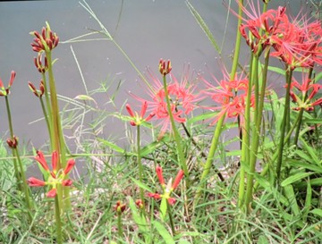　　　秋の気配・・・・・