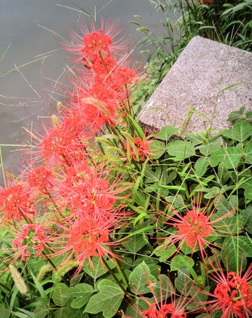 　　　秋の気配・・・・・