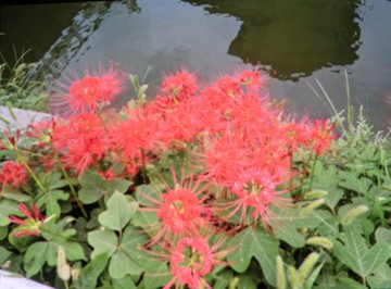 　　　秋の気配・・・・・
