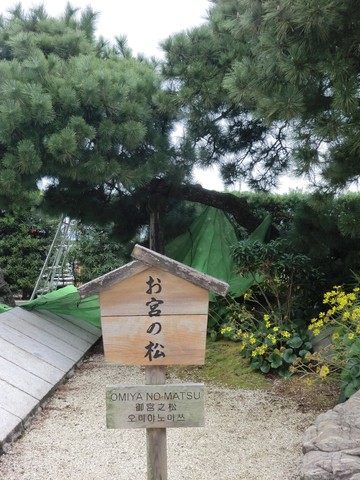 　　　　熱海旅行・・・・パート②
