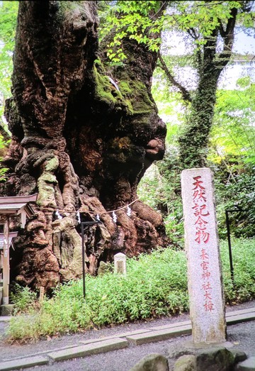 　　　　熱海へ・・・旅行・・・