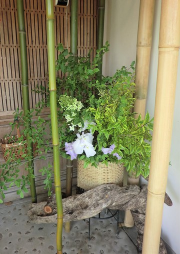 　　　　田舎に・・・・