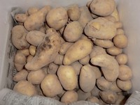 　　　　田舎に・・・・