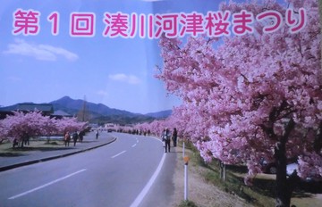 　　河津桜・・・・