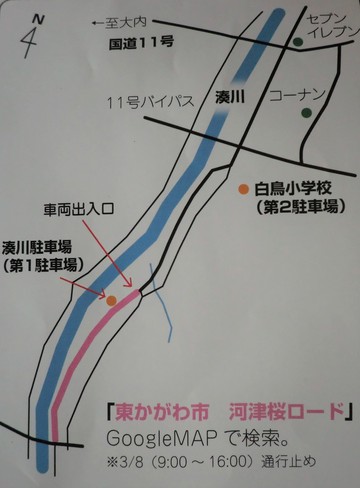 　　河津桜・・・・