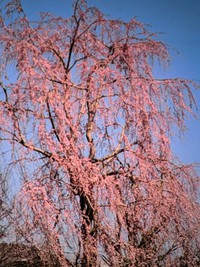 　　　寒い・・・・