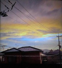 雨の後・・・・