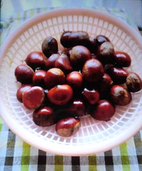 　　秋の味覚・・・・