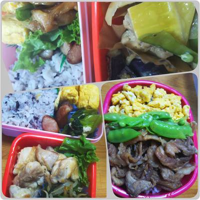 最近のお弁当