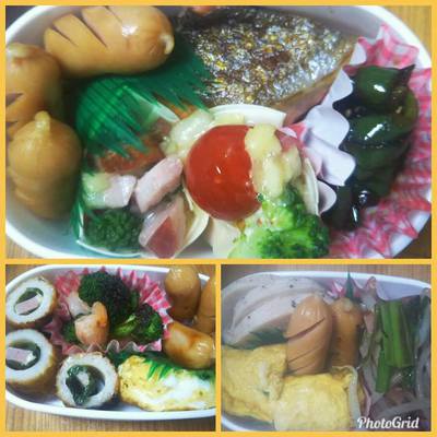 最近のお弁当