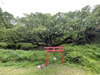 志々島