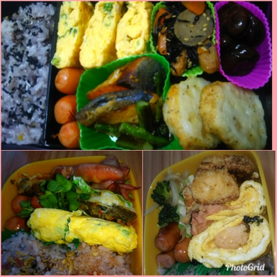 最近のお弁当