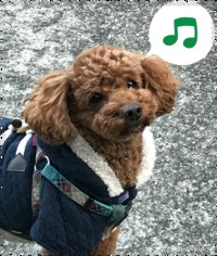 明けましておめでとうございます