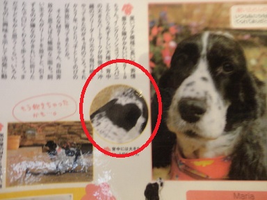 秘密の花園と私！？