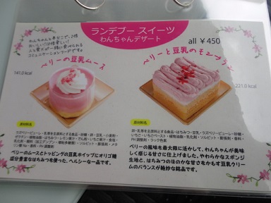 新店でランチ