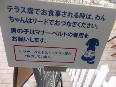 新店でランチ