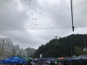 イベントNOW！