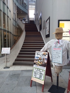 今日はここ！