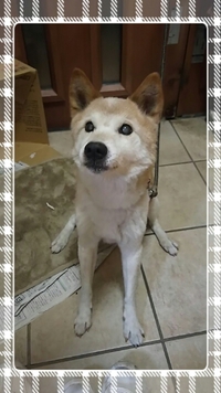 15歳 頑張った！