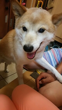 え～(゜ﾛ゜;ﾉ）ﾉ