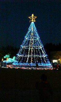 まんのう公園のイルミネーション♪