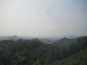 前山　山火事