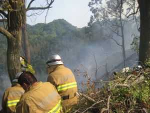 前山　山火事