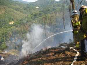 前山　山火事