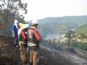 前山　山火事
