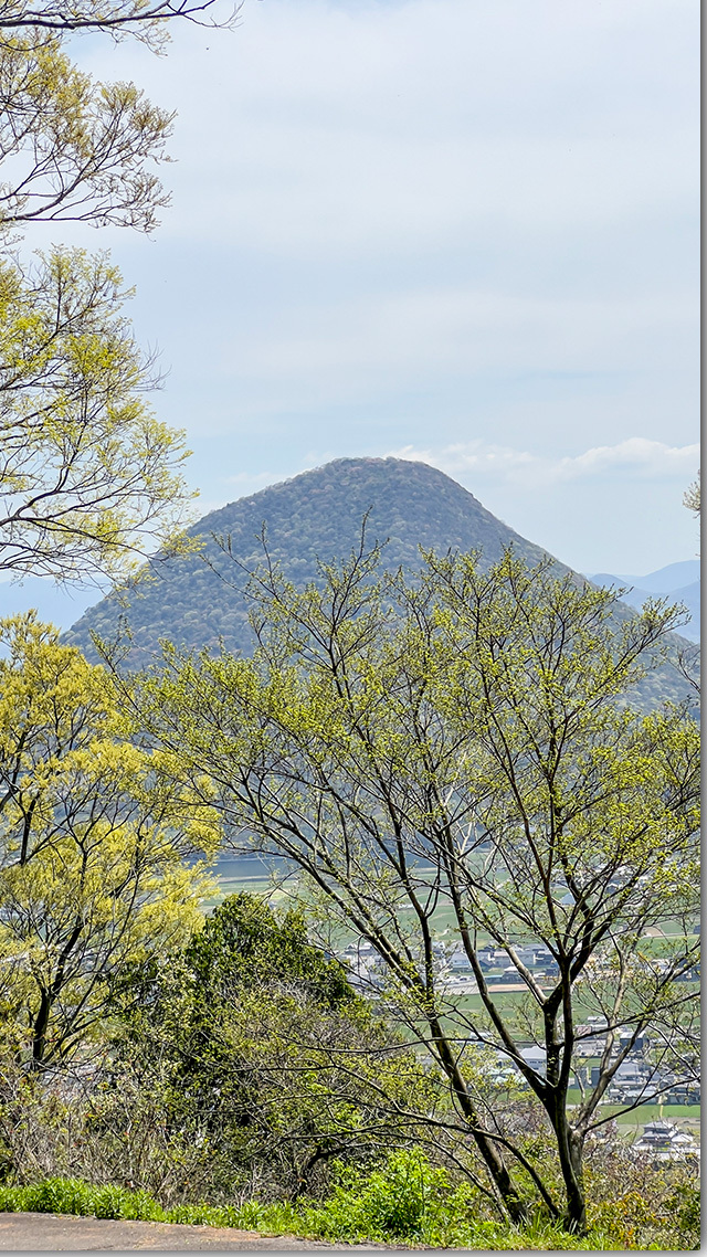 青の山