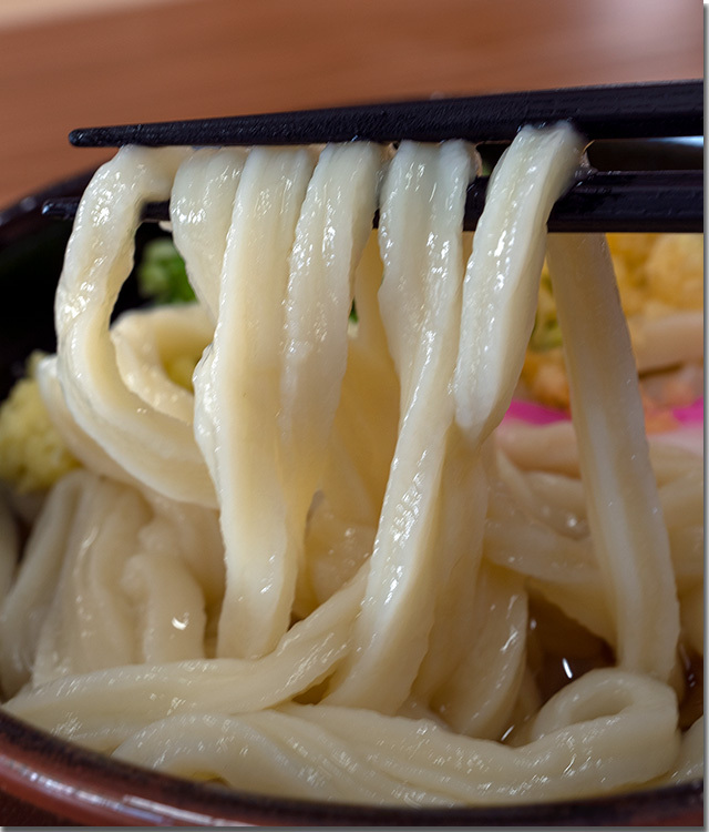 501UDON 父母ヶ浜