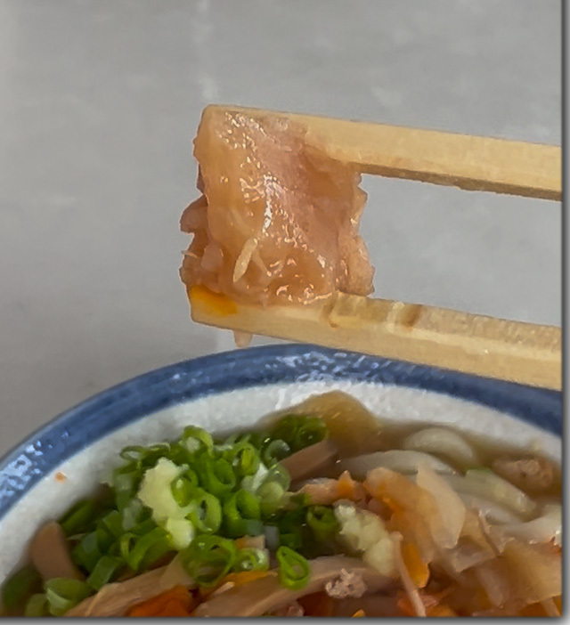 しっぽく 穴吹製麺所