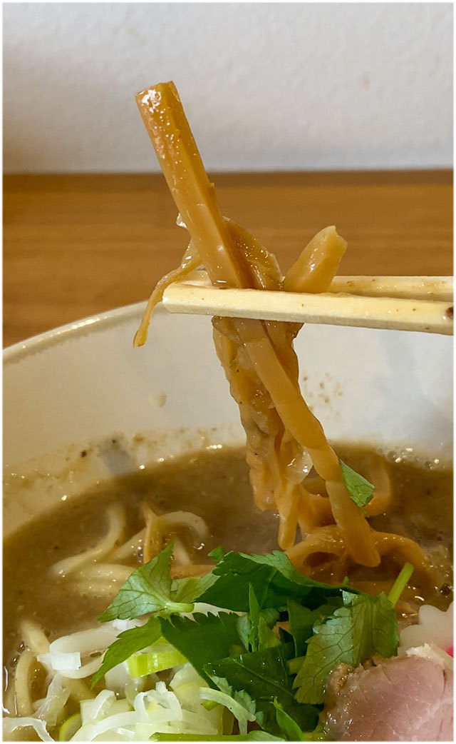 ANTI NOODLE アンチ ヌードル
