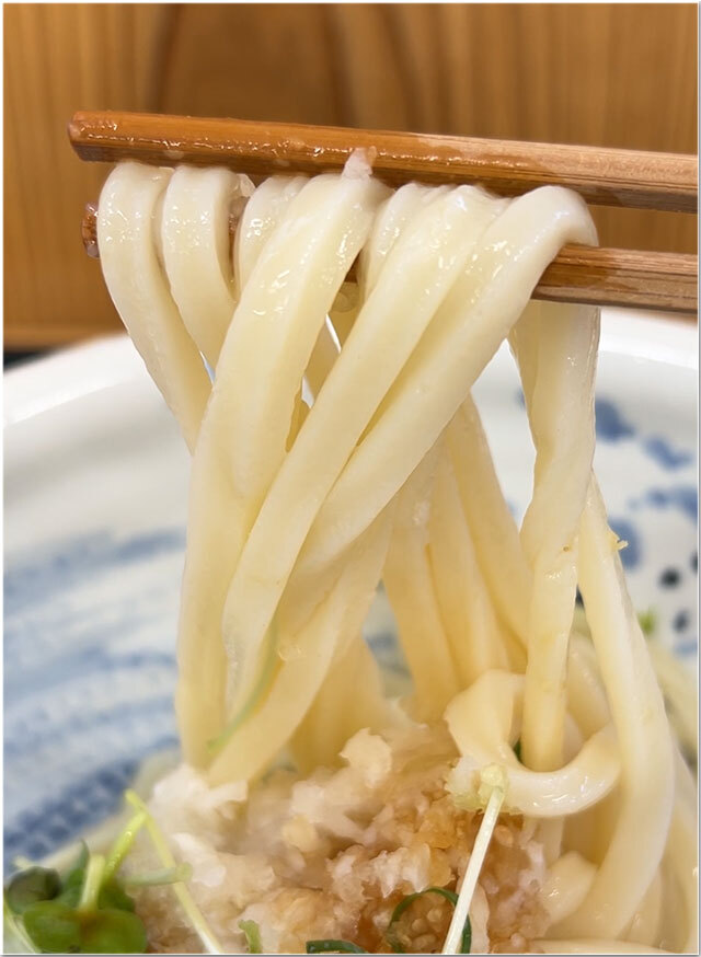 讃岐醬油うどん 青天上