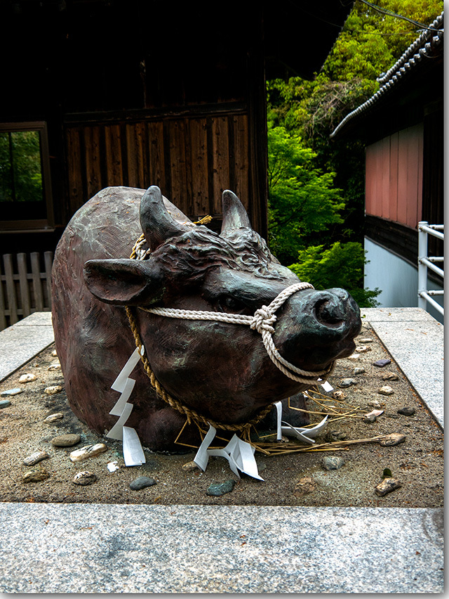 カフェジャルダンと藤尾神社