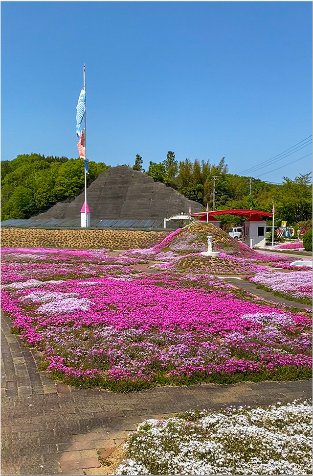 カフェジャルダンと藤尾神社