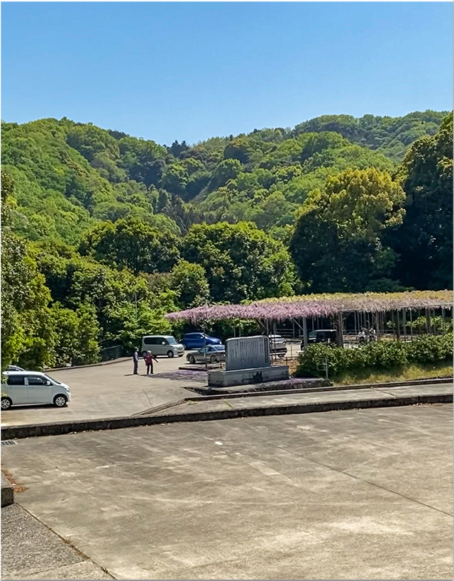 カフェジャルダンと藤尾神社