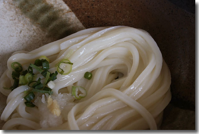醤油うどん＠生舞