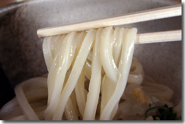 醤油うどん＠生舞