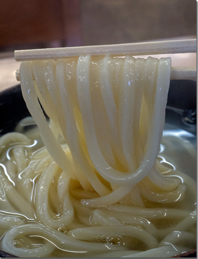 きたのうどん　琴弾公園