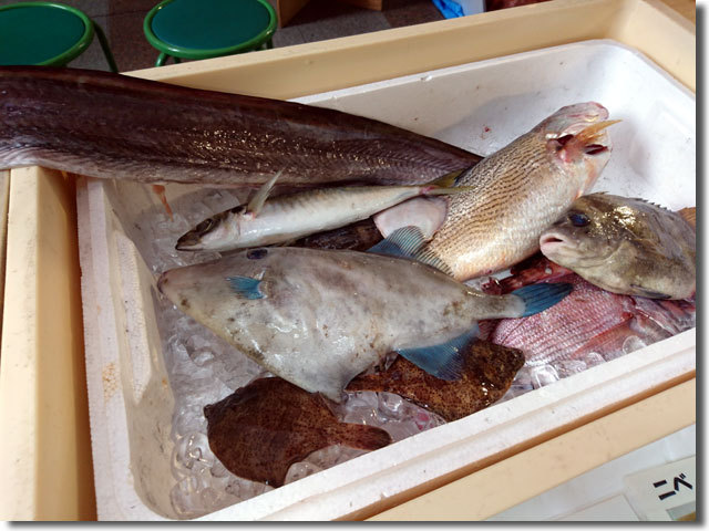 さぬき海の幸販売促進協議会主催のお魚マルシェ
